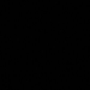 Meet your Posher, Izzy